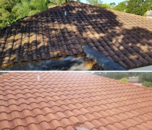 Roof Cleaning in Naperville IL